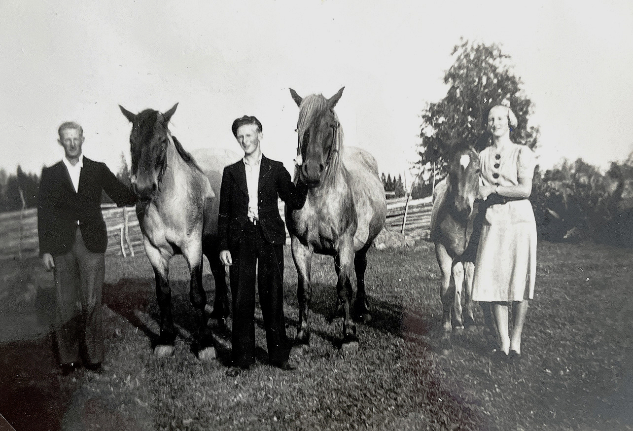 Olle Arne Vivi med hästar